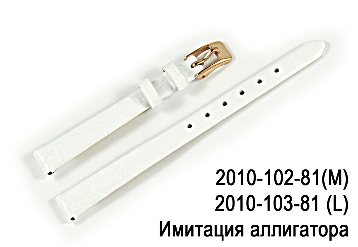 Ремешок для часов с кожей 2010-103-81
