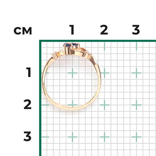 Кольцо 01-0674-00-105-1110-30 Кольцо