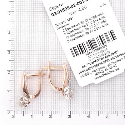 Серьги 02-01599-02-001-0101 Серьги